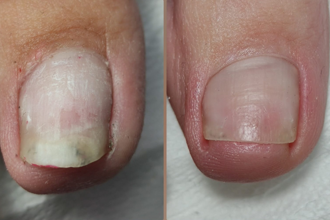 Corso di ORTONIXIA: Una Specializzazione Indispensabile