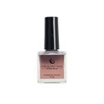 Stamping Polish 10 ml Silver Crescent Nail