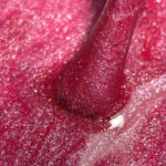 Gel Polish Cat Eye 05