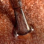 Gel Polish Stella 8ml Crescent Nail