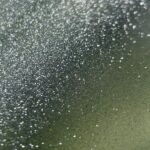 Gel Polish Flora 8ml Crescent Nail - immagine 2