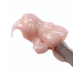 Expert Gel Cover Light 30gr Crescent Nail - immagine 3